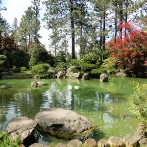 Meet Poppy's Poppin Boutique